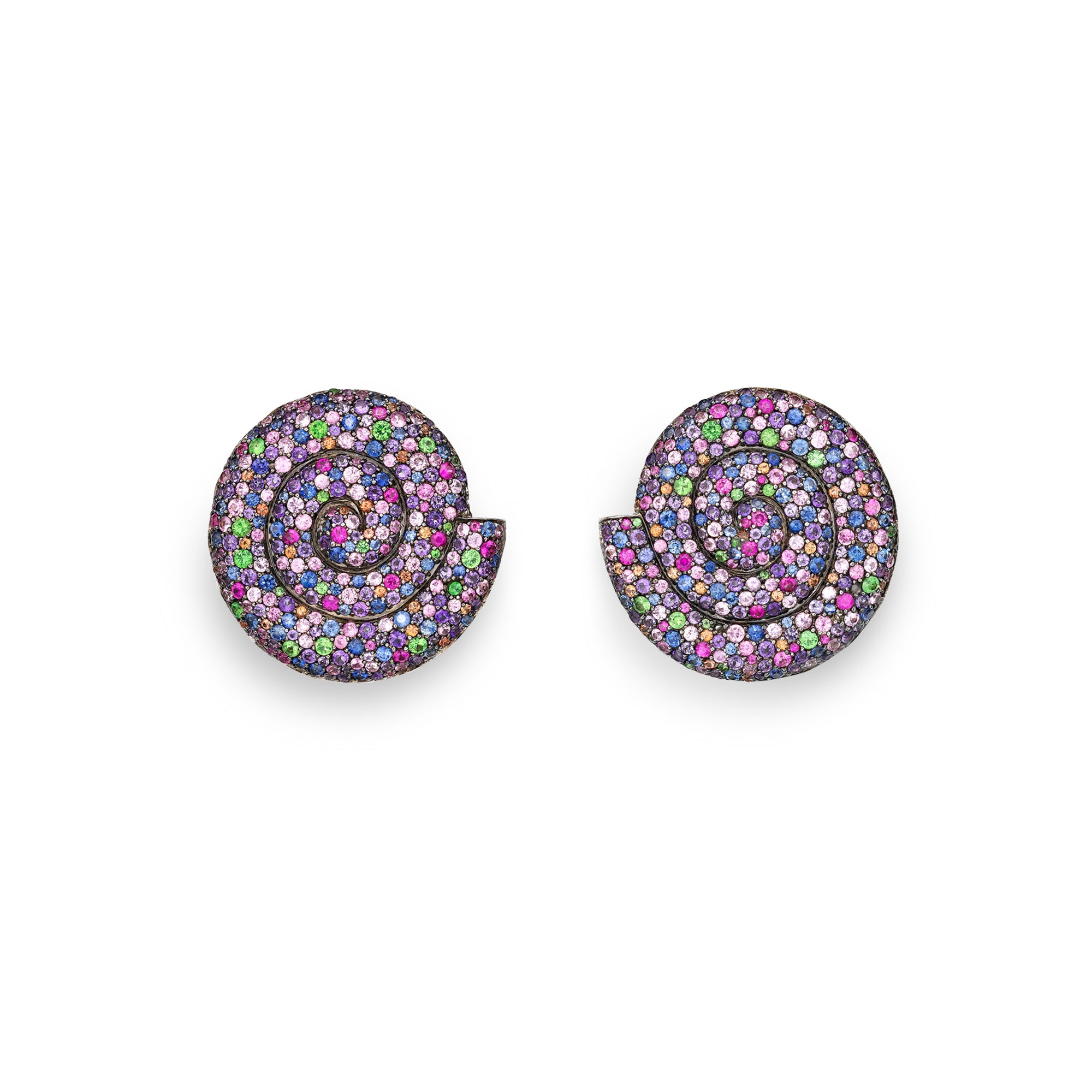 Earrings Swirl Shell
