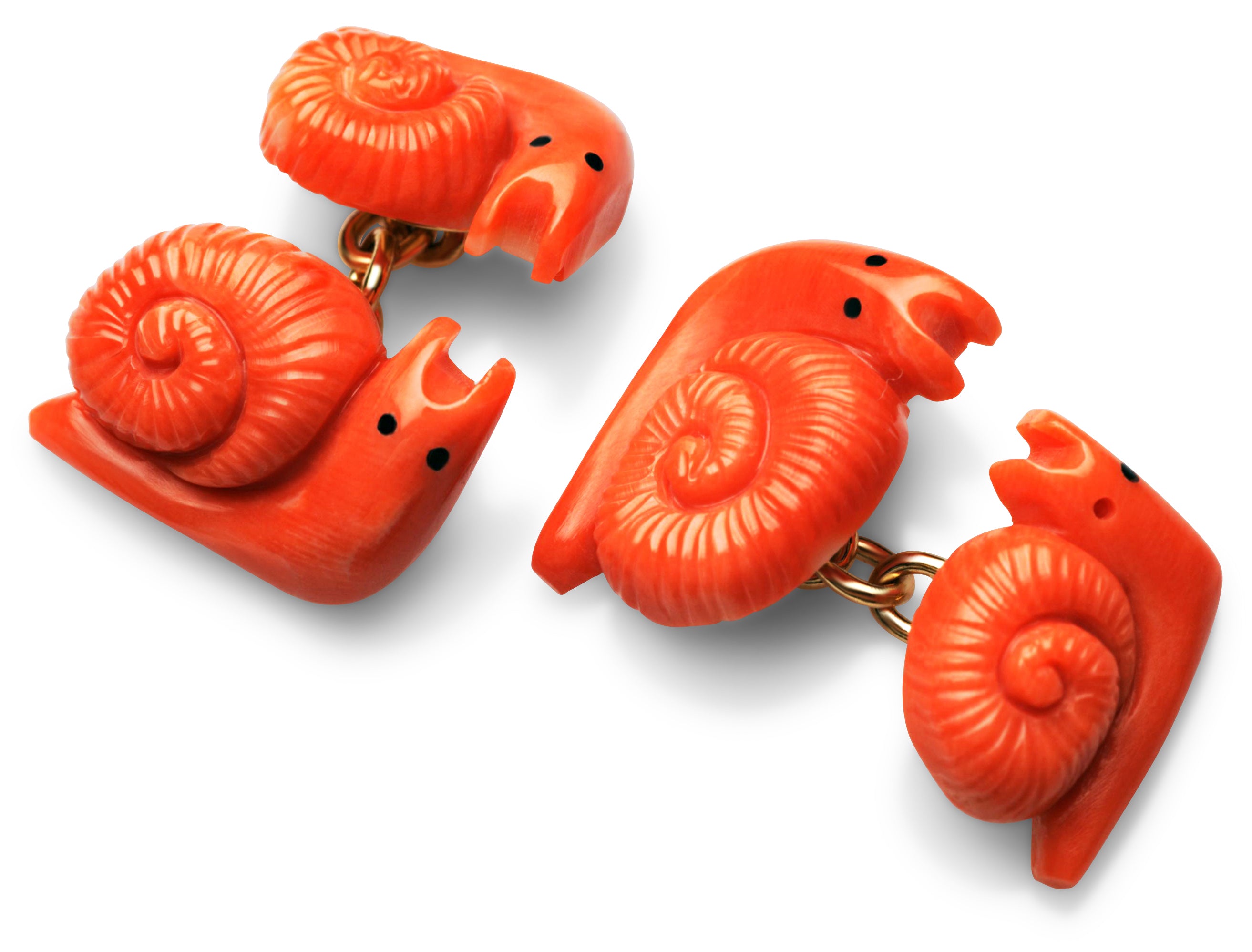 Cufflinks Snails Coral