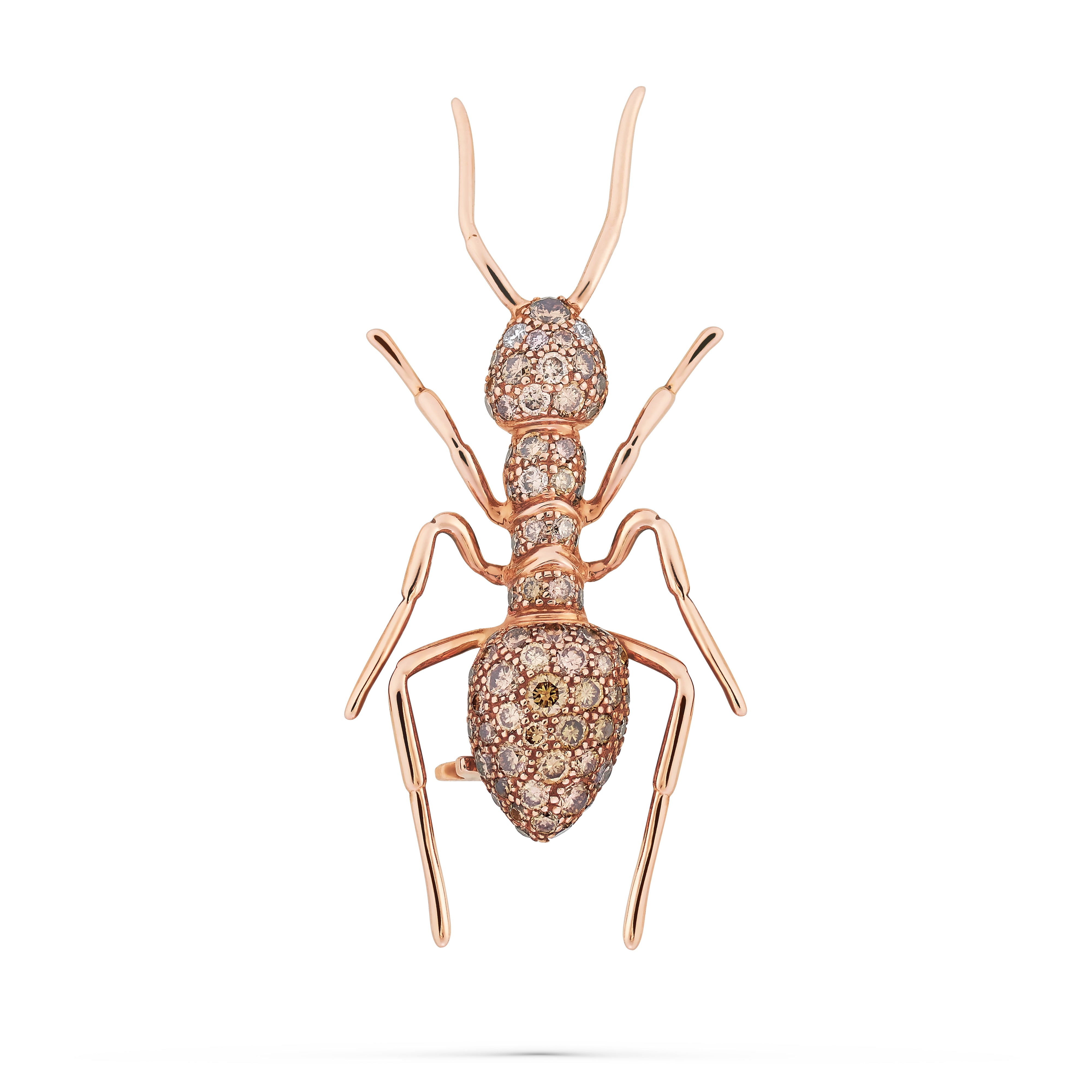 Brooch Ant Champagne Diamond