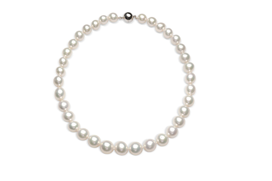 Necklace South Sea Pearls White