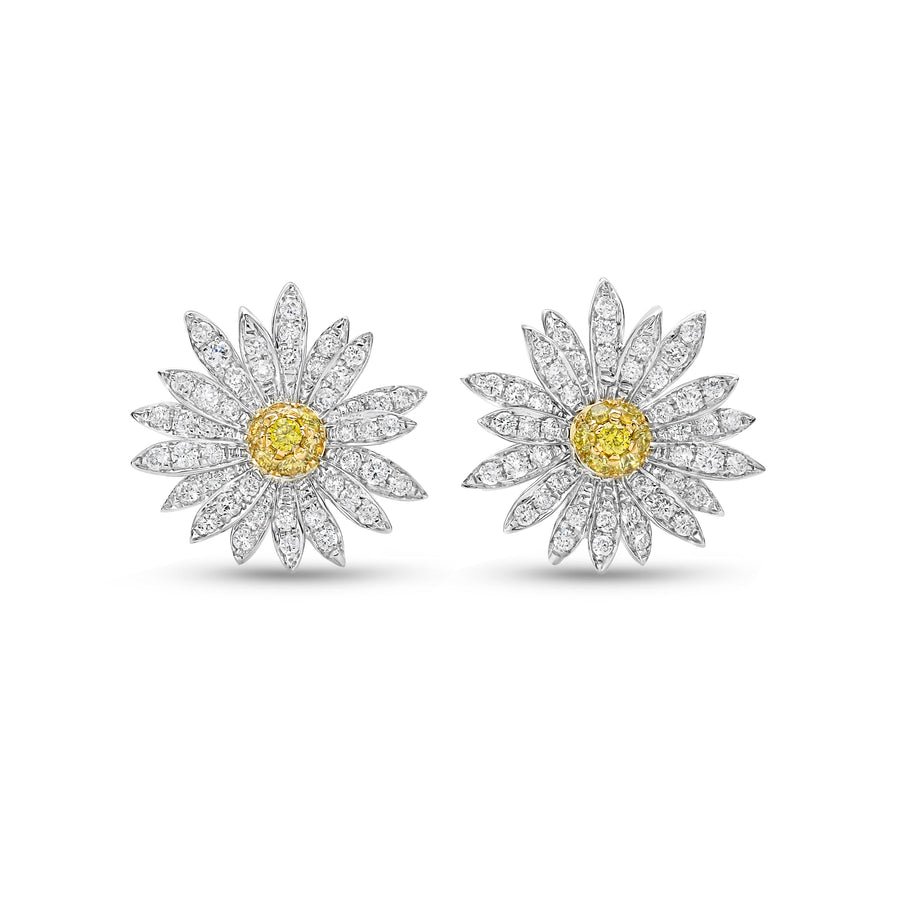 Earrings Stud Little Daisy