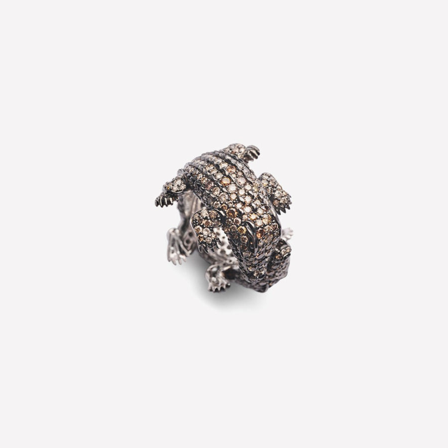 Ring Kissing Crocodiles